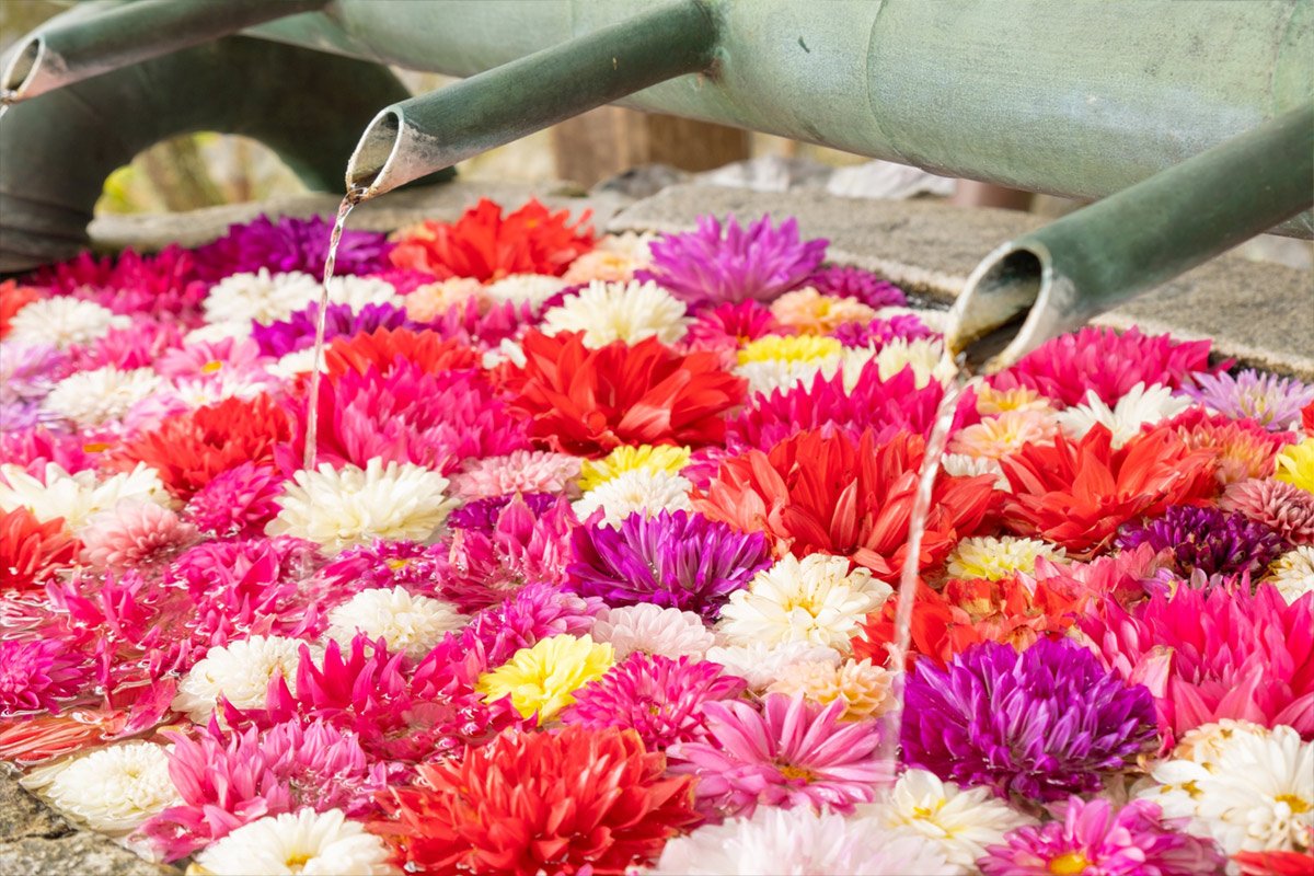 🏯 계족산 보당원 금창사 (케이소쿠잔 호도인 콘조지) 이미지 8
